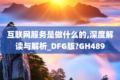 互联网服务是做什么的,深度解读与解析_DFG版?GH489