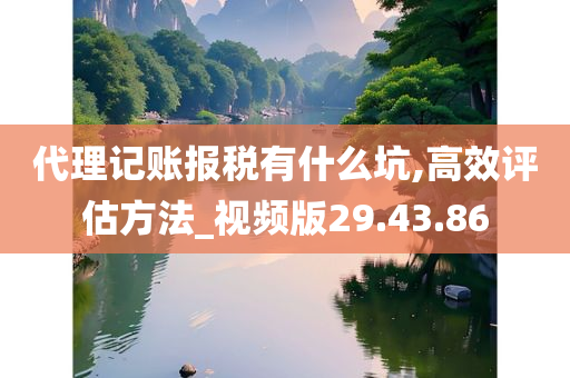 代理记账报税有什么坑,高效评估方法_视频版29.43.86