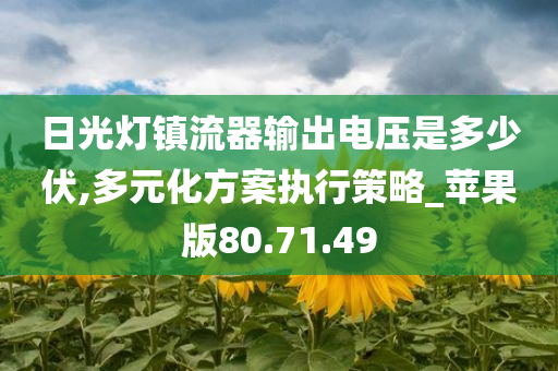 日光灯镇流器输出电压是多少伏,多元化方案执行策略_苹果版80.71.49