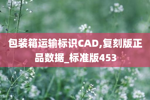 包装箱运输标识CAD,复刻版正品数据_标准版453