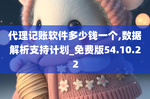 代理记账软件多少钱一个,数据解析支持计划_免费版54.10.22