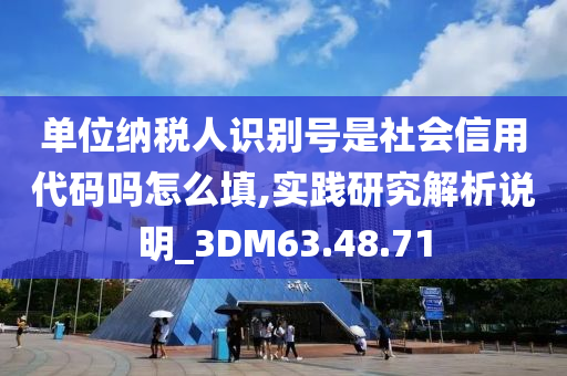 单位纳税人识别号是社会信用代码吗怎么填,实践研究解析说明_3DM63.48.71