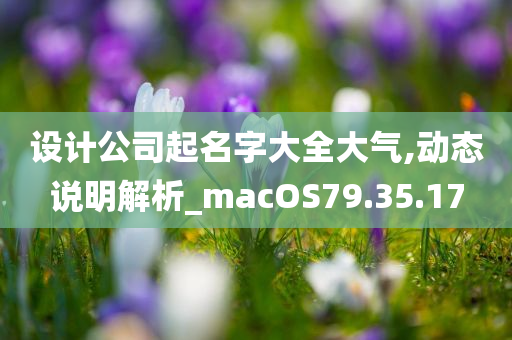 设计公司起名字大全大气,动态说明解析_macOS79.35.17