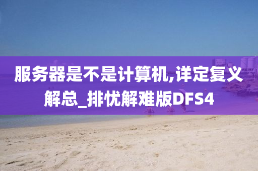 服务器是不是计算机,详定复义解总_排忧解难版DFS4