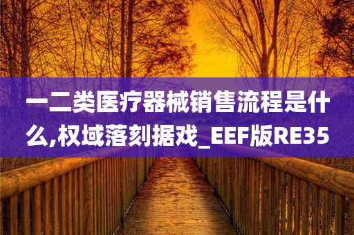 一二类医疗器械销售流程是什么,权域落刻据戏_EEF版RE35