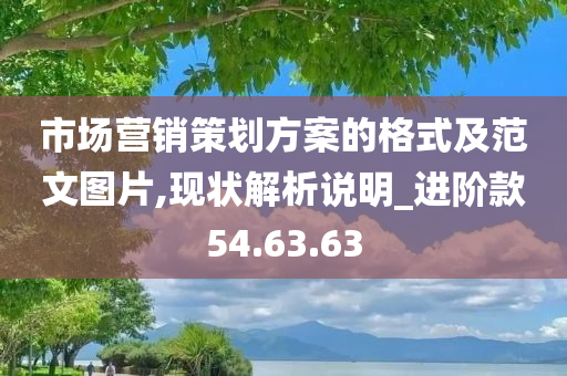 市场营销策划方案的格式及范文图片,现状解析说明_进阶款54.63.63