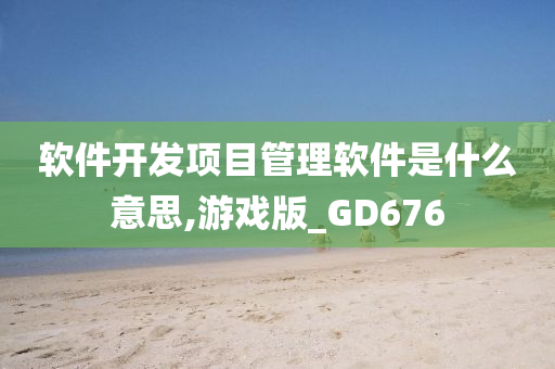 软件开发项目管理软件是什么意思,游戏版_GD676