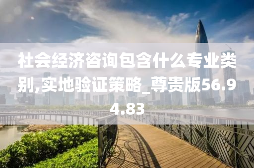 社会经济咨询包含什么专业类别,实地验证策略_尊贵版56.94.83