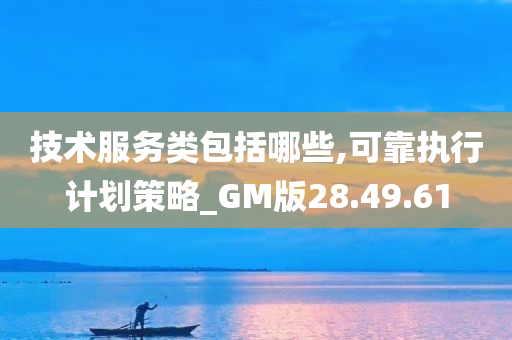 技术服务类包括哪些,可靠执行计划策略_GM版28.49.61