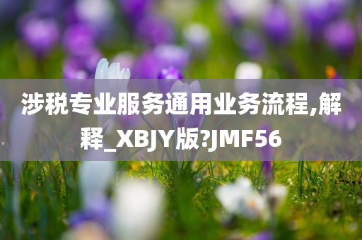 涉税专业服务通用业务流程,解释_XBJY版?JMF56