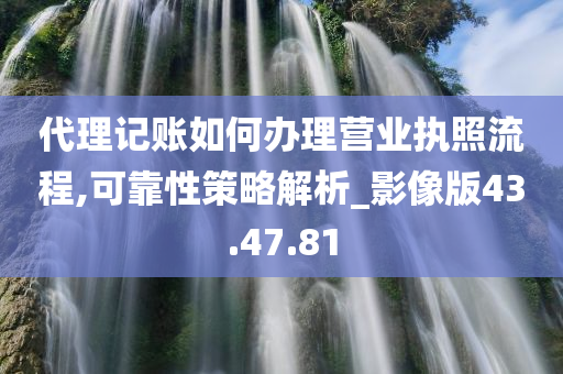 代理记账如何办理营业执照流程,可靠性策略解析_影像版43.47.81