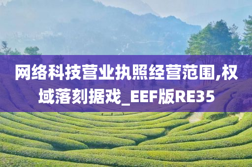 网络科技营业执照经营范围,权域落刻据戏_EEF版RE35