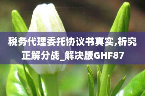 税务代理委托协议书真实,析究正解分战_解决版GHF87