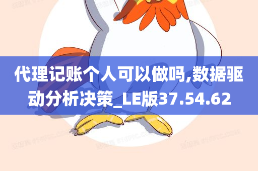 代理记账个人可以做吗,数据驱动分析决策_LE版37.54.62