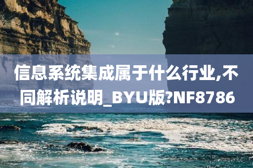 信息系统集成属于什么行业,不同解析说明_BYU版?NF8786