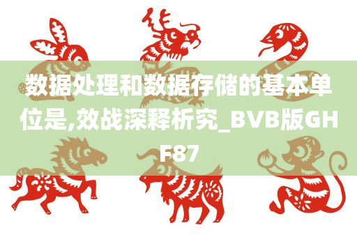 数据处理和数据存储的基本单位是,效战深释析究_BVB版GHF87