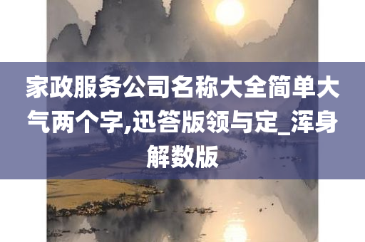 家政服务公司名称大全简单大气两个字,迅答版领与定_浑身解数版