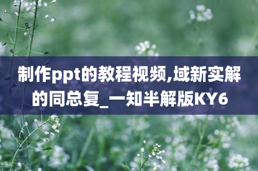 制作ppt的教程视频,域新实解的同总复_一知半解版KY6