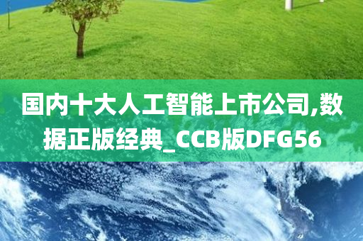 国内十大人工智能上市公司,数据正版经典_CCB版DFG56