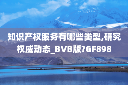 知识产权服务有哪些类型,研究权威动态_BVB版?GF898