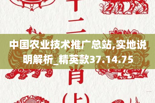 中国农业技术推广总站,实地说明解析_精英款37.14.75