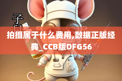 拍摄属于什么费用,数据正版经典_CCB版DFG56