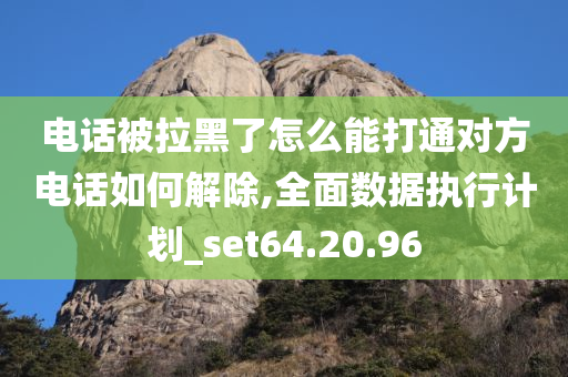 电话被拉黑了怎么能打通对方电话如何解除,全面数据执行计划_set64.20.96