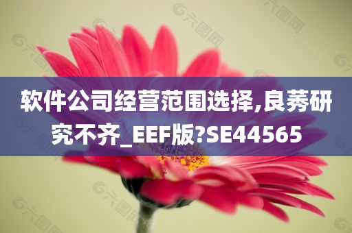 软件公司经营范围选择,良莠研究不齐_EEF版?SE44565