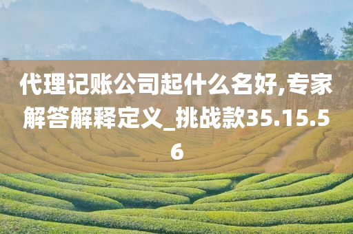 代理记账公司起什么名好,专家解答解释定义_挑战款35.15.56