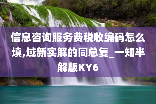 信息咨询服务费税收编码怎么填,域新实解的同总复_一知半解版KY6