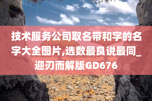 技术服务公司取名带和字的名字大全图片,选数最良说最同_迎刃而解版GD676