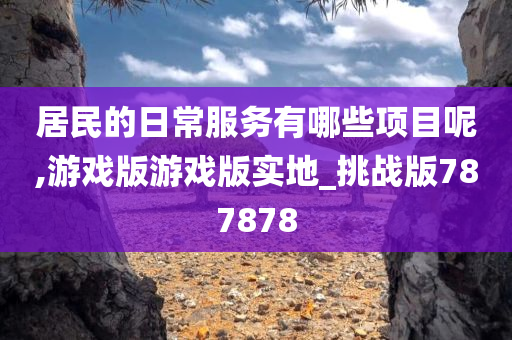 居民的日常服务有哪些项目呢,游戏版游戏版实地_挑战版787878