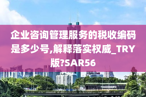 企业咨询管理服务 税收编码