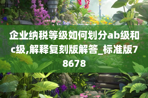 企业纳税等级如何划分ab级和c级,解释复刻版解答_标准版78678