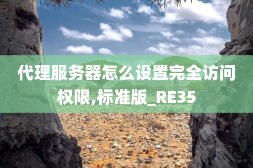 代理服务器怎么设置完全访问权限,标准版_RE35