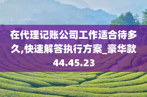 在代理记账公司工作适合待多久,快速解答执行方案_豪华款44.45.23