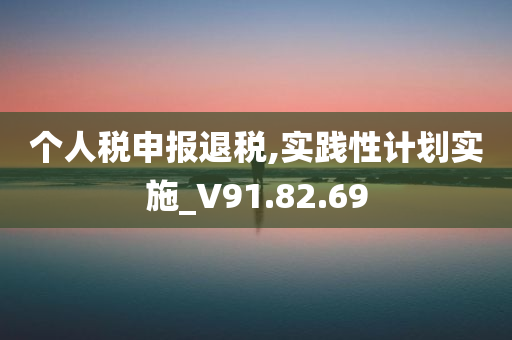 个人税申报退税,实践性计划实施_V91.82.69