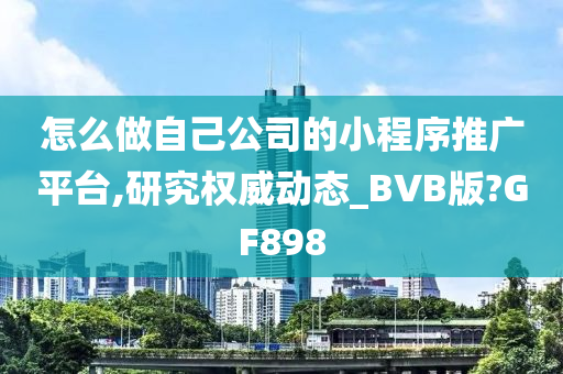 怎么做自己公司的小程序推广平台,研究权威动态_BVB版?GF898