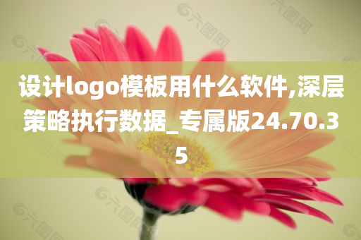 设计logo模板用什么软件,深层策略执行数据_专属版24.70.35