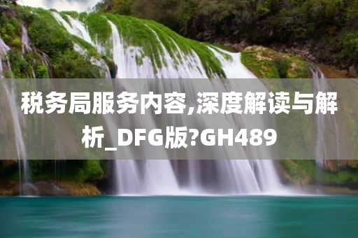 税务局服务内容,深度解读与解析_DFG版?GH489