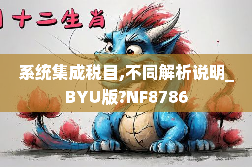 系统集成税目,不同解析说明_BYU版?NF8786