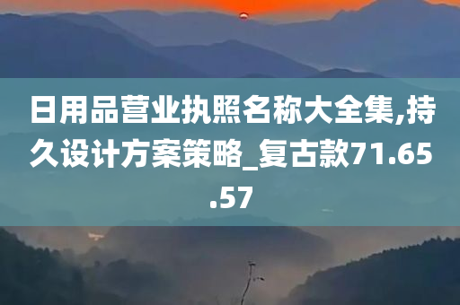 日用品营业执照名称大全集,持久设计方案策略_复古款71.65.57