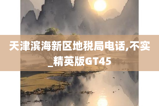 天津滨海新区地税局电话,不实_精英版GT45