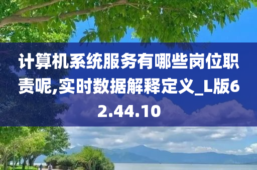 计算机系统服务有哪些岗位职责呢,实时数据解释定义_L版62.44.10