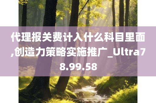 代理报关费计入什么科目里面,创造力策略实施推广_Ultra78.99.58