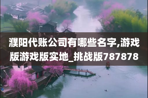 濮阳代账公司有哪些名字,游戏版游戏版实地_挑战版787878