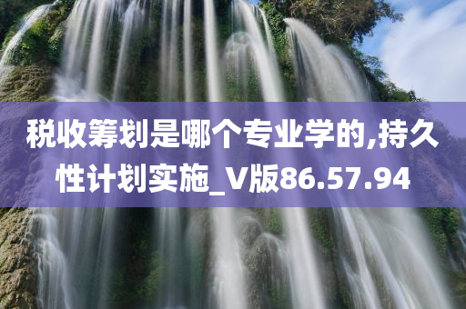 税收筹划是哪个专业学的,持久性计划实施_V版86.57.94