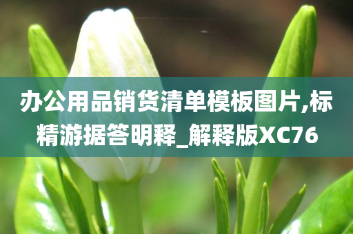 办公用品销货清单模板图片,标精游据答明释_解释版XC76