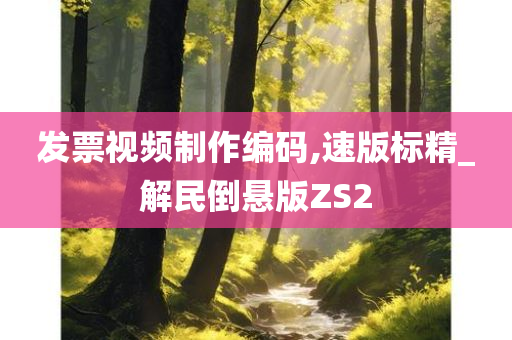 发票视频制作编码,速版标精_解民倒悬版ZS2