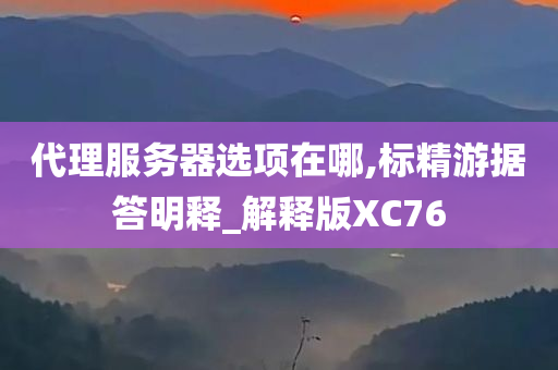 代理服务器选项在哪,标精游据答明释_解释版XC76